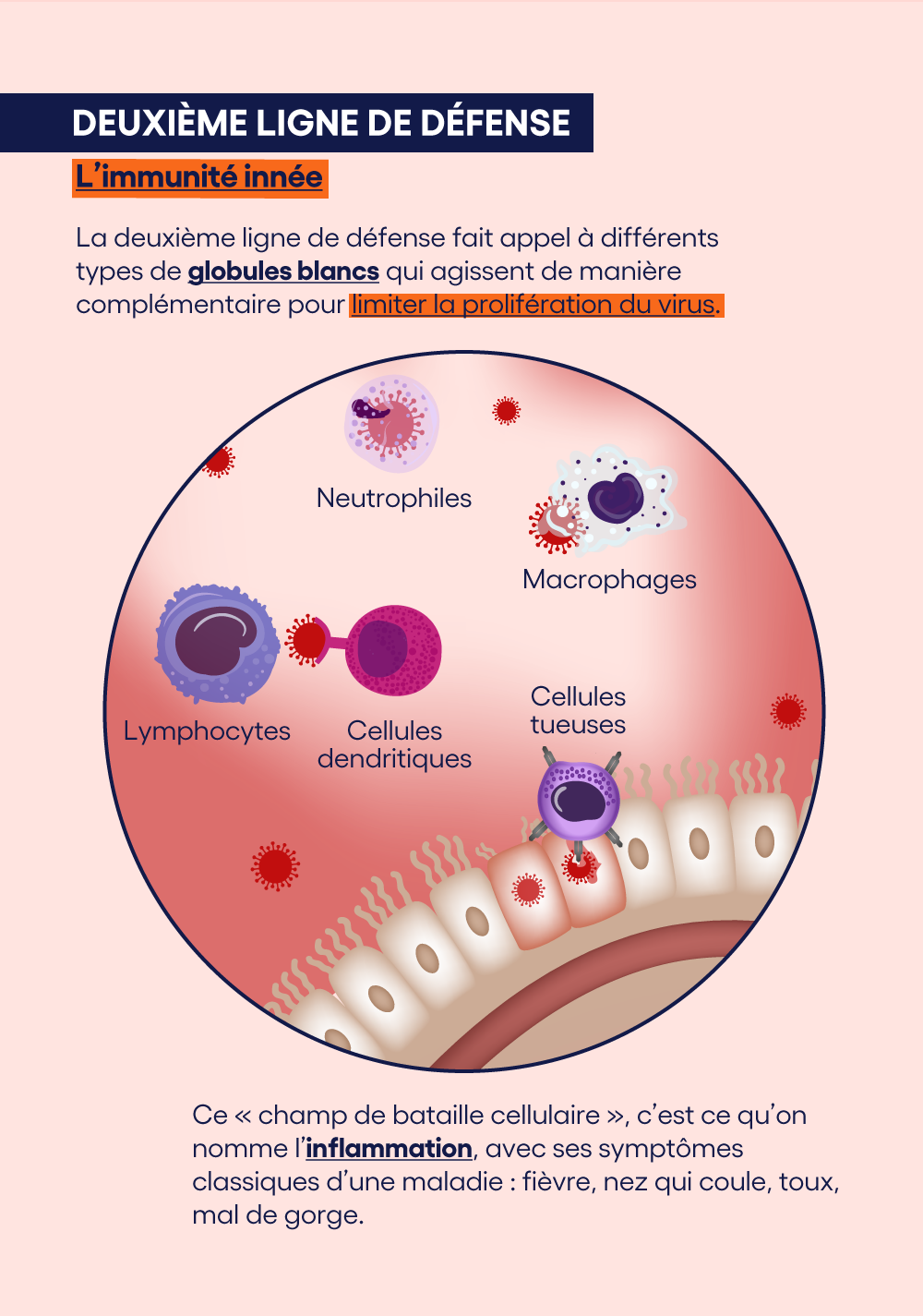 Fig2