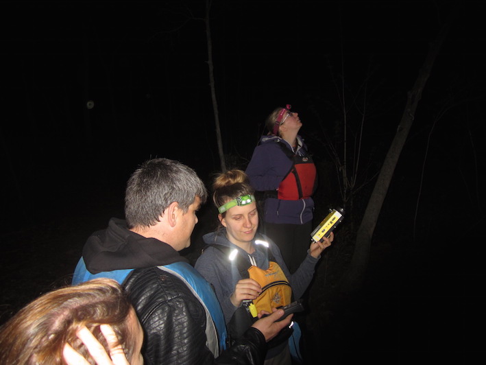 Visite nocturne avec Éco-Nature