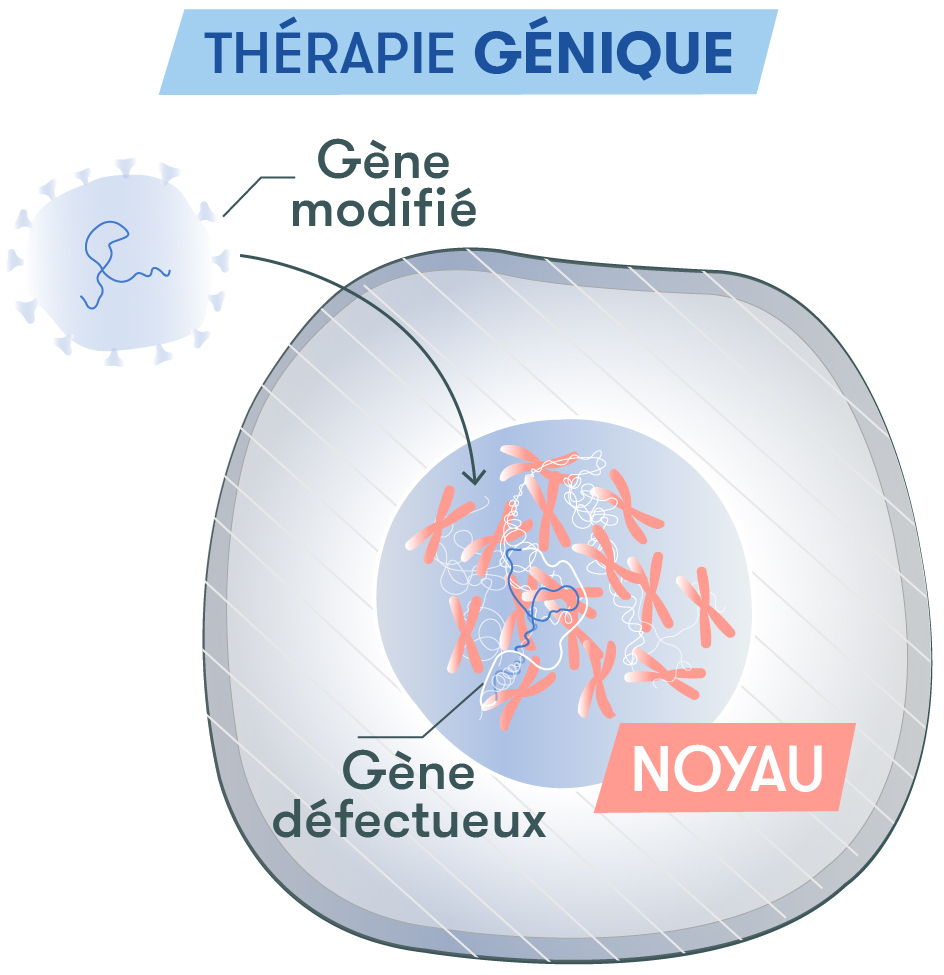ARN et thérapie génique - Visuel 4