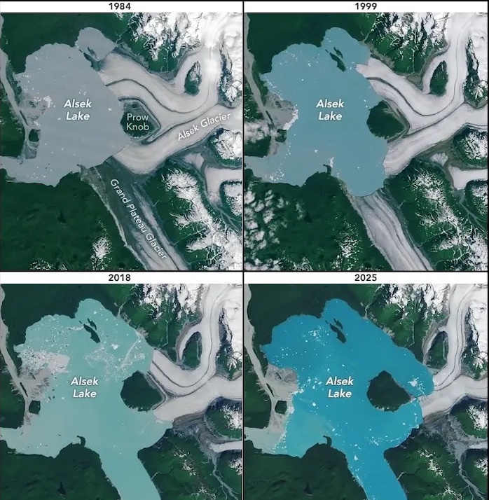 Evolution du glacier Alsek 1984-2025