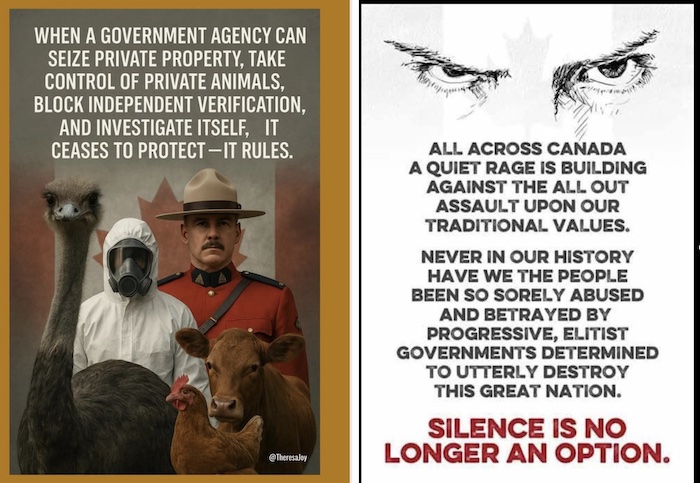 Publications sur la page Facebook de la ferme Universal Ostrich