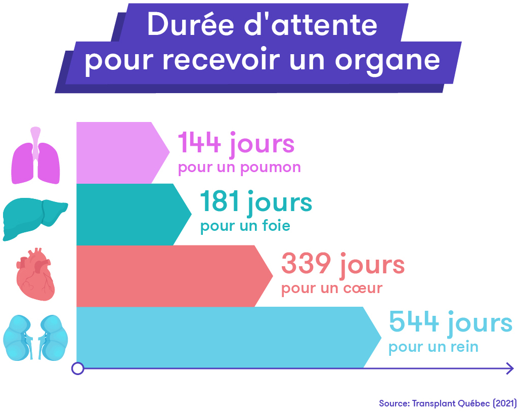 Don d'organes - Visuel 3