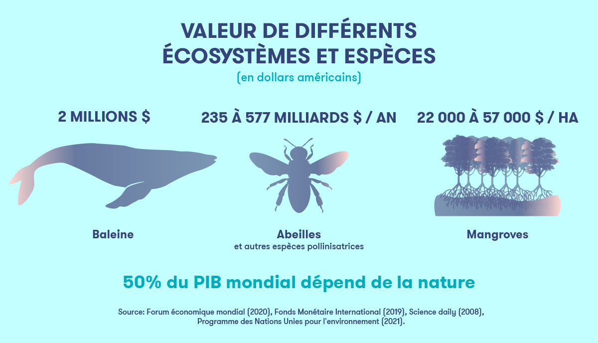 Écologie et économie - Infographie 2