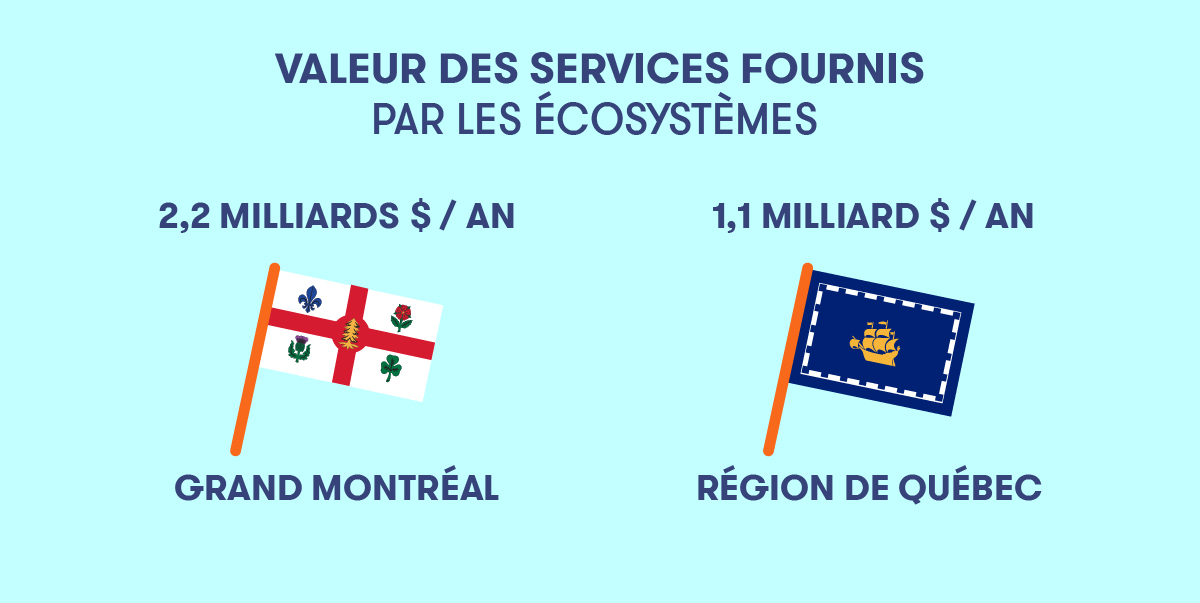 Écologie et économie - Infographie 3