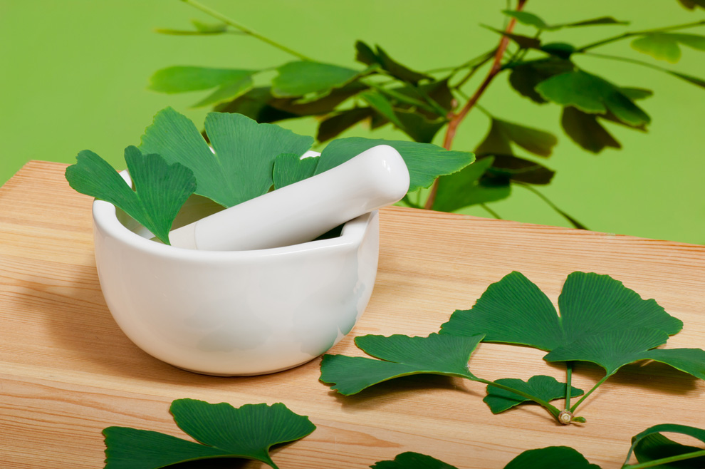 Ginkgo biloba