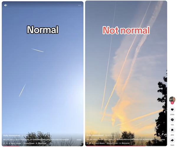 DDR-chemtrail vs contrail-image 1