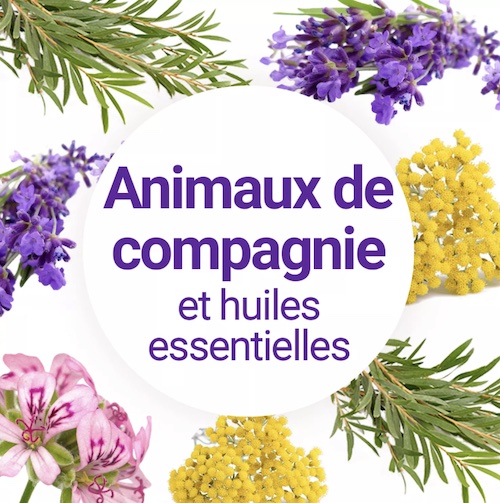 Image huiles essentielles pour animaux1