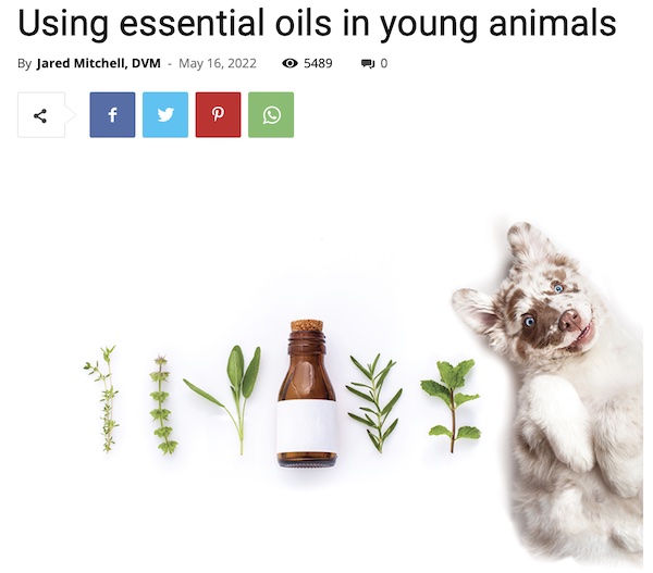 Image huiles essentielles pour animaux2