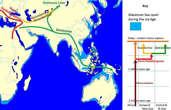 Denisova-Neandertal-Carte