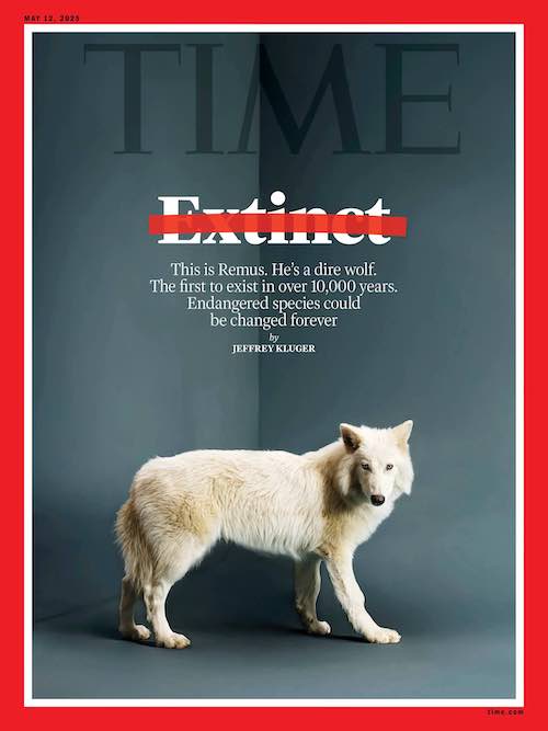Couverture du Time sur le loup gris