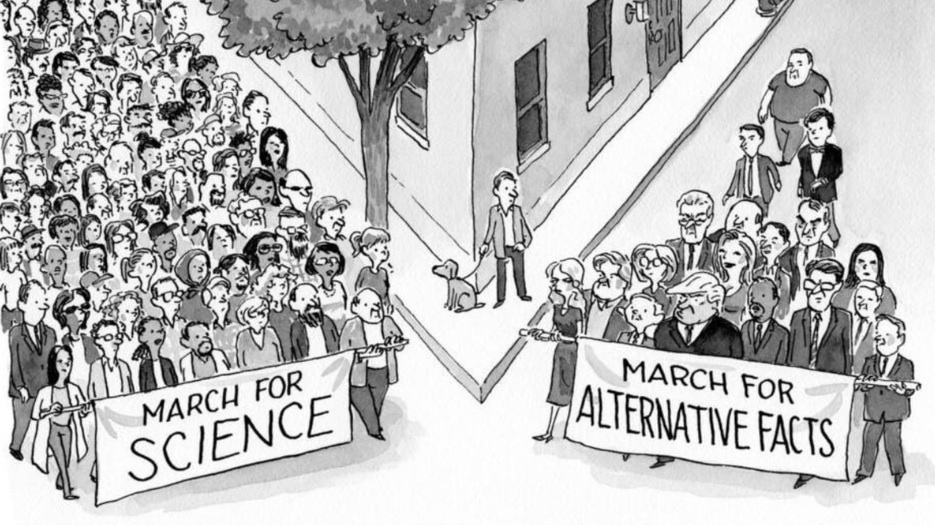 MSci-NewYorker