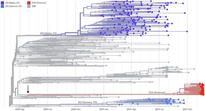 Coronavirus-Genealogía-Omicron