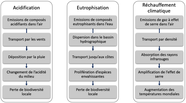 Exemples de chemins d’impact