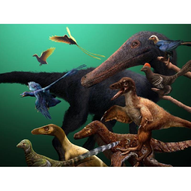 Os dinossauros escapam |  Agência de Imprensa Científica
