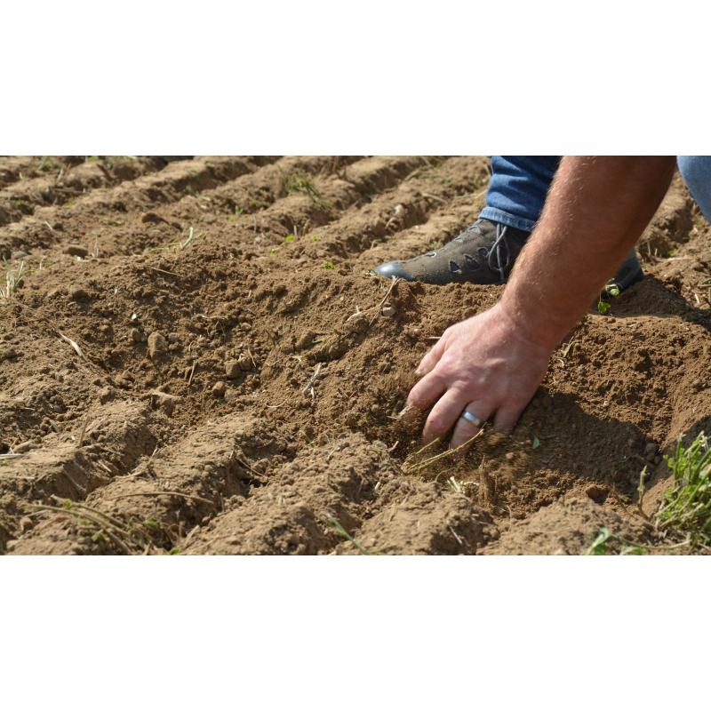 Our soil to protect |  Science Press Agency