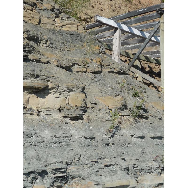 Des pierres et des pierres Agence SciencePresse