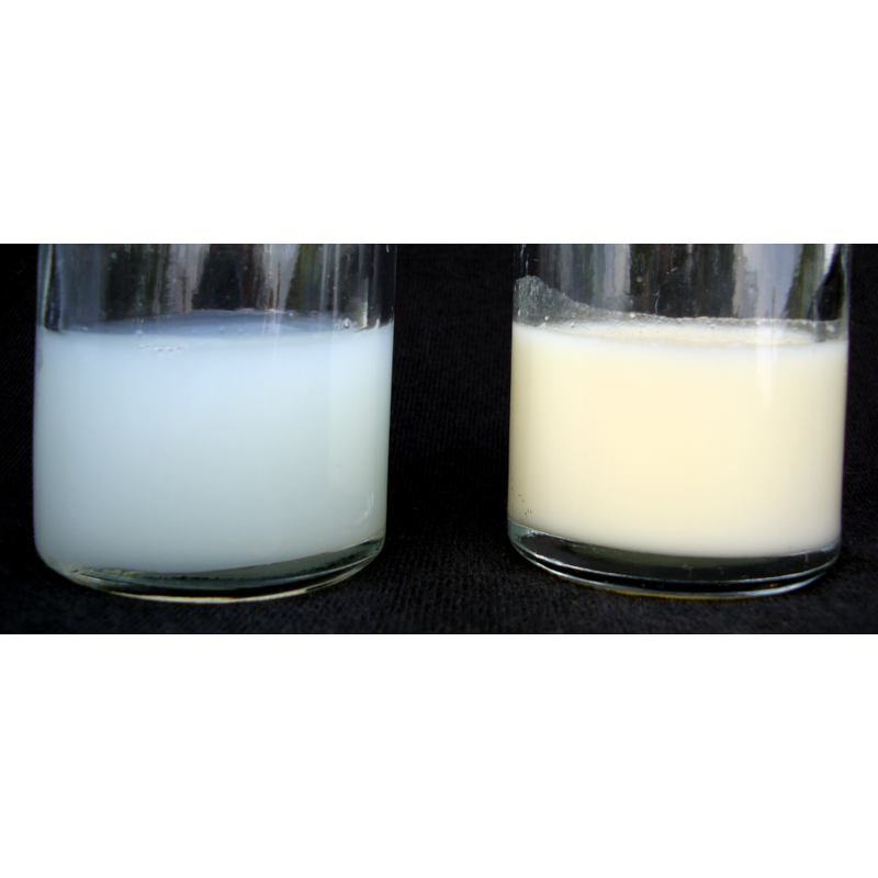 Le lait maternel passe le test du goût! Agence SciencePresse