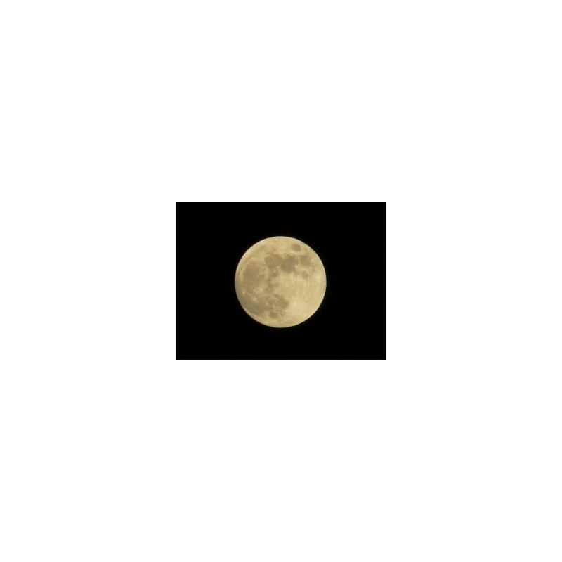 La Pleine Lune Favorise T Elle Les Grossesses Agence Science Presse La Pleine Lune Favorise T Elle Les Grossesses Agence Science Presse