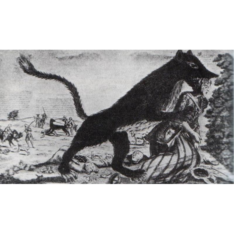 Qui A Peur Du Grand Méchant Loup Qui a peur du grand méchant loup ? | Agence Science-Presse