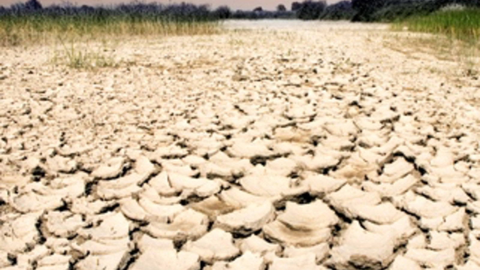 Environnement désertique