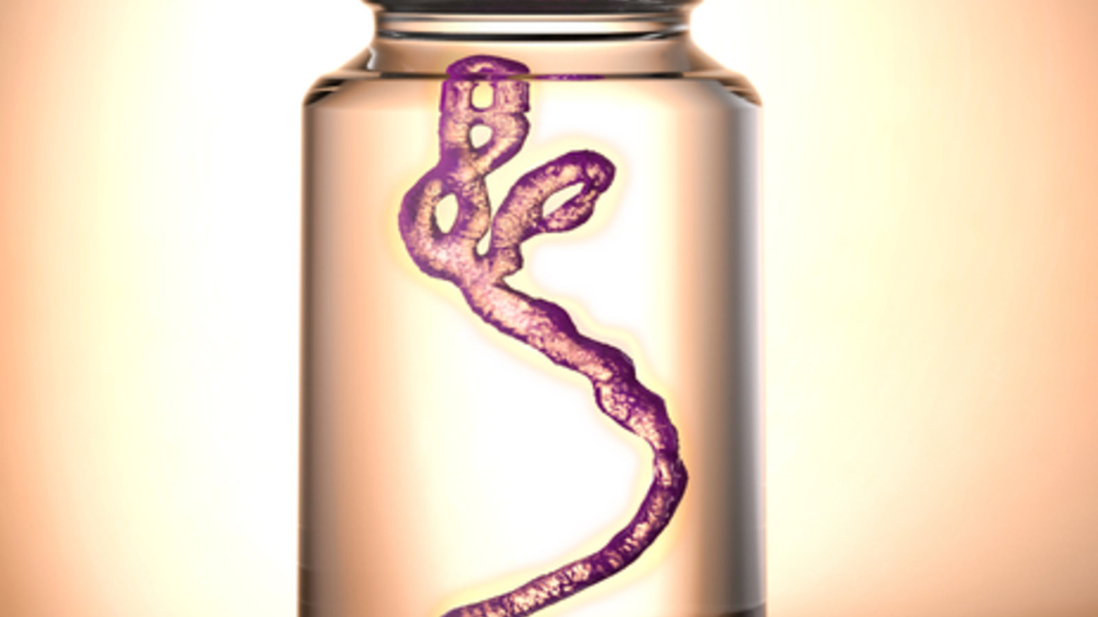 Ebola en bouteille