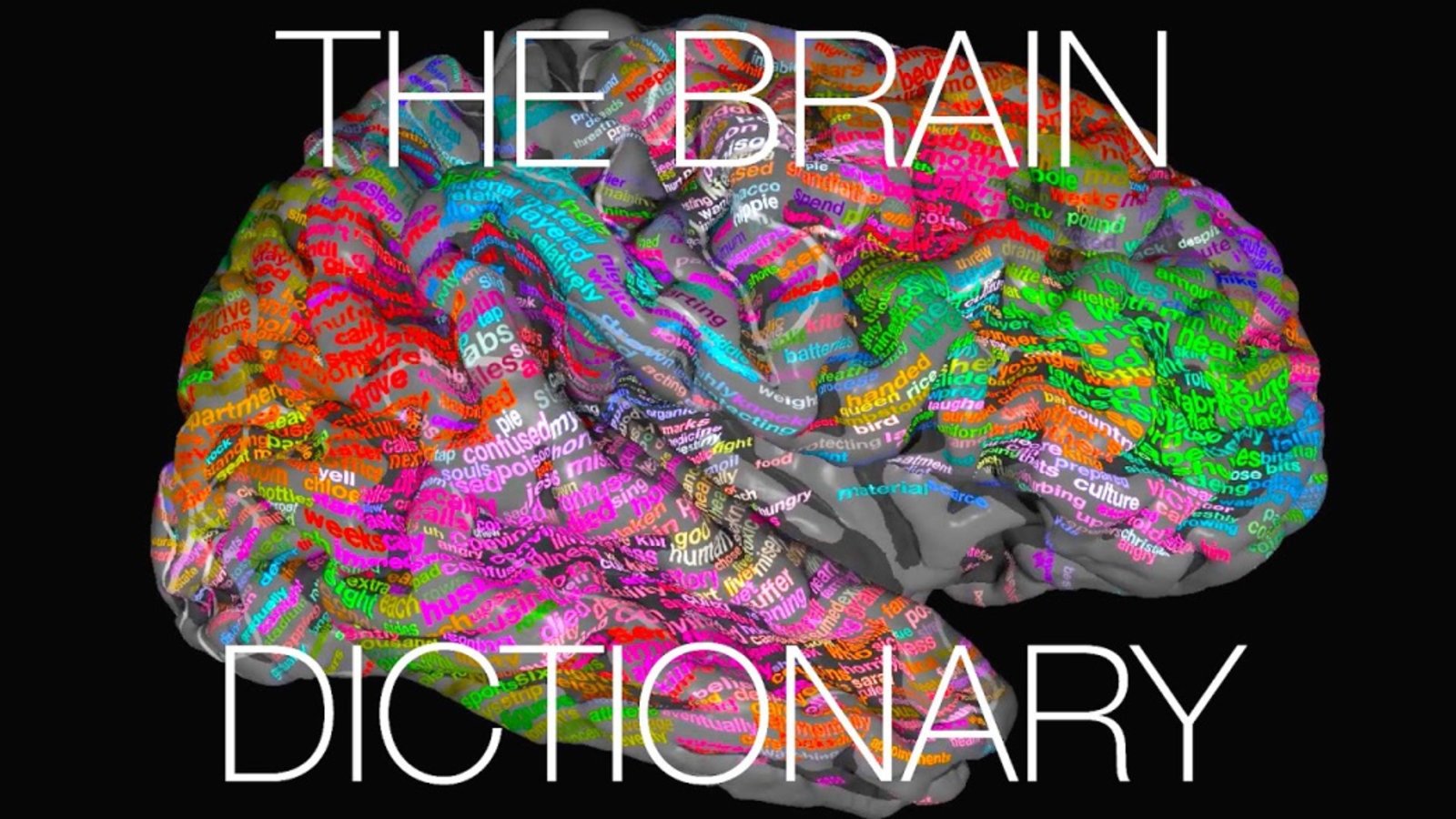 brain dictionary