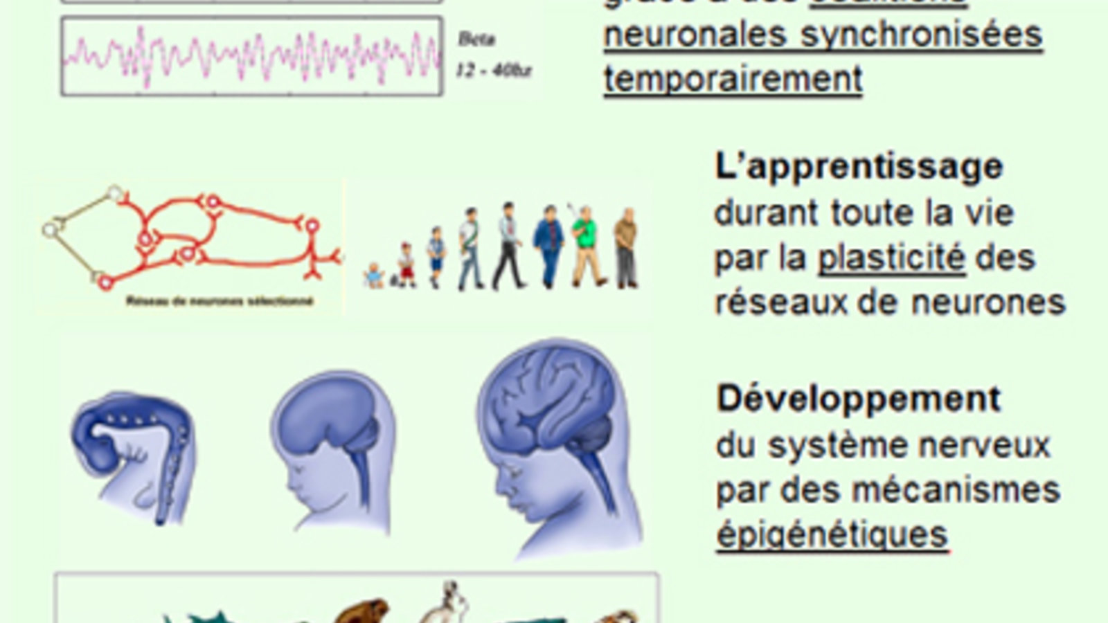 processus dynamiques