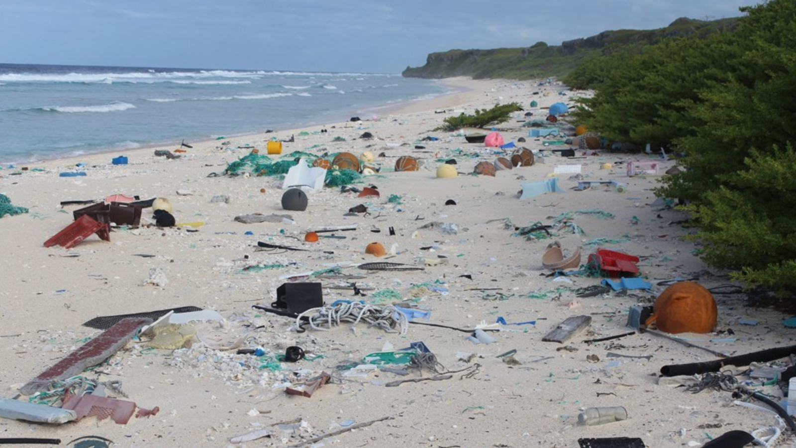 île plastique