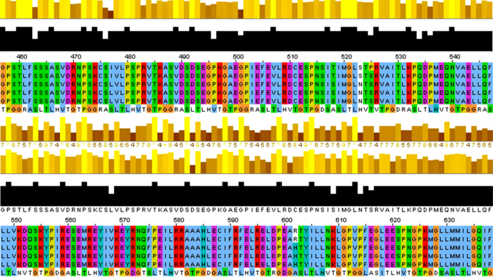 Human telomerase reverse transcriptase