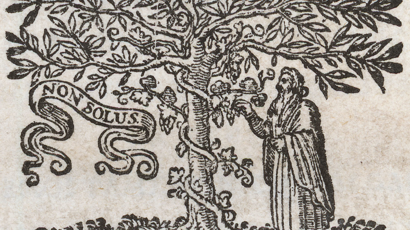 Arbre de la connaissance