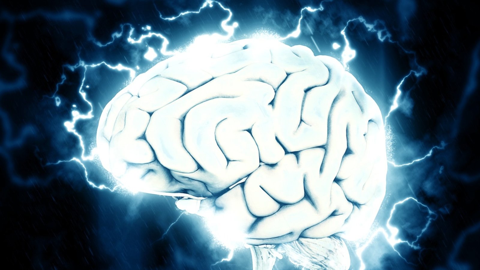 Capsule Pascal Dun état végétatif à un état de conscience minimale.jpg (247.34 Ko) 