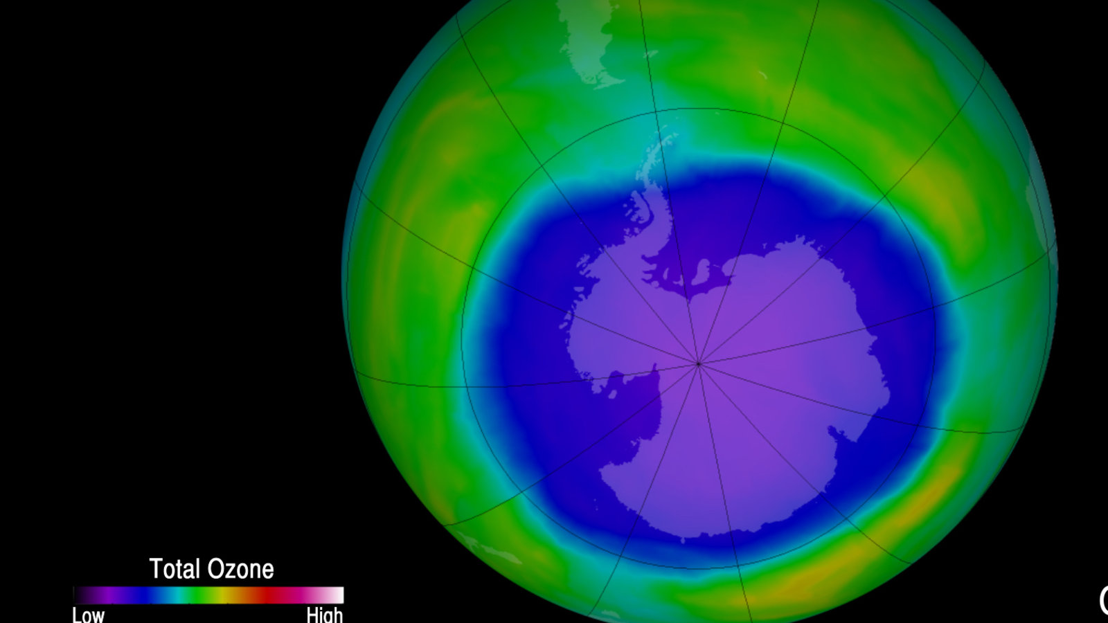 DDR-Ozone