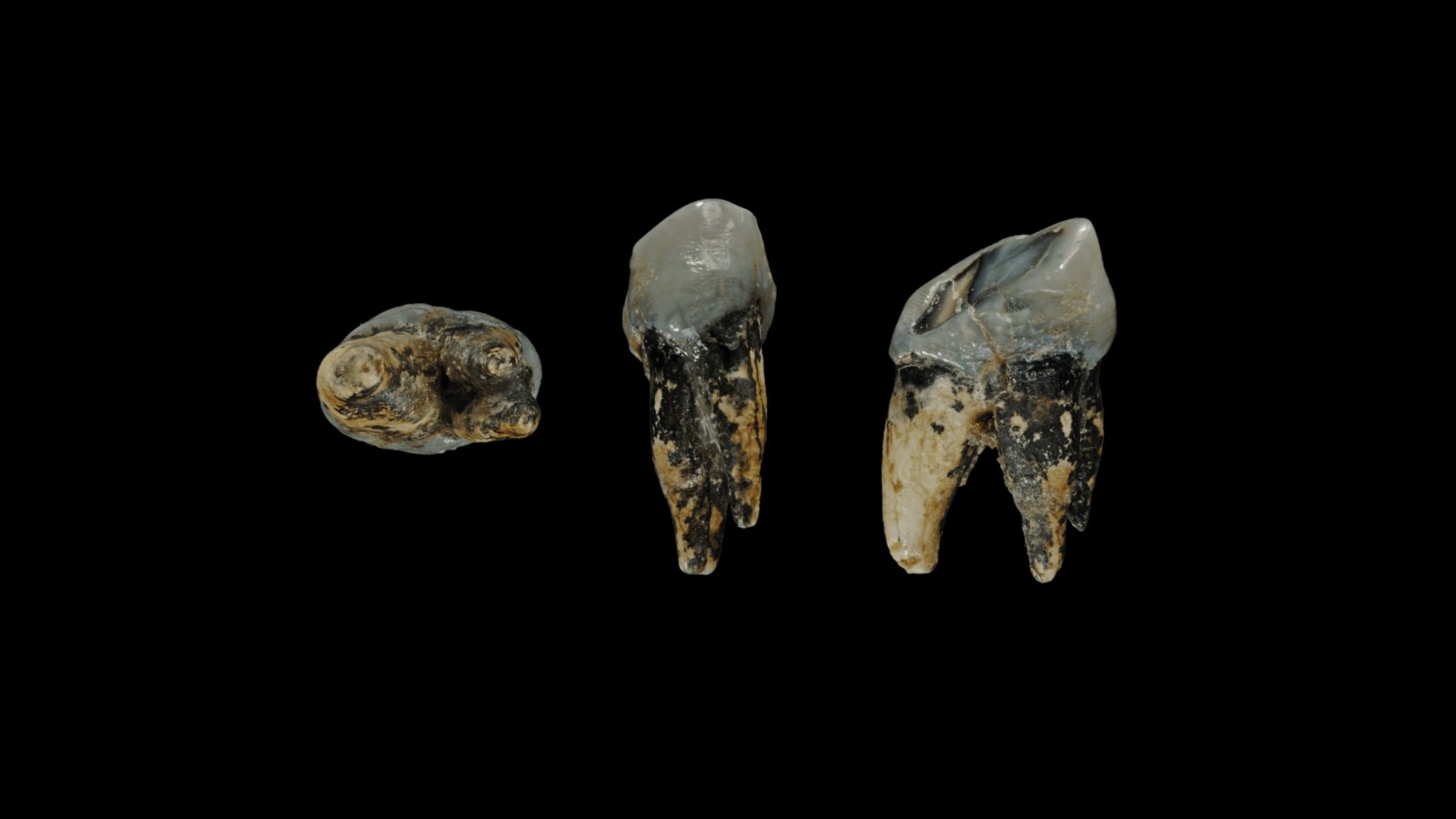 Capsule Pascal Le tartre sur vos dents pourrait valoir cher dans 2000 ans.jpg (500.25 Ko) 