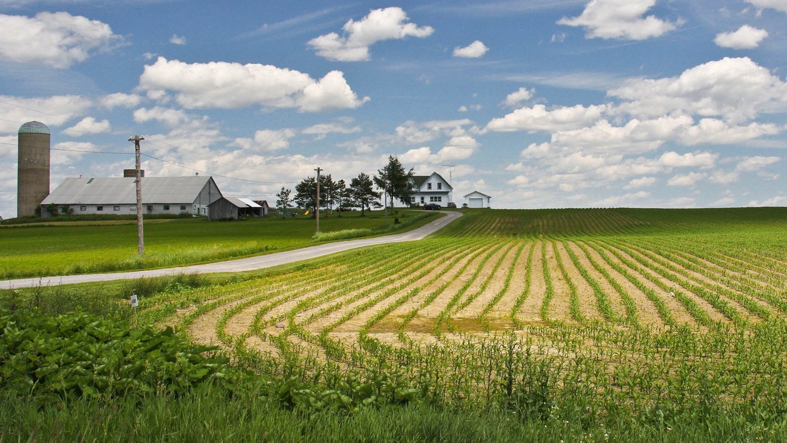 agriculture-printemps