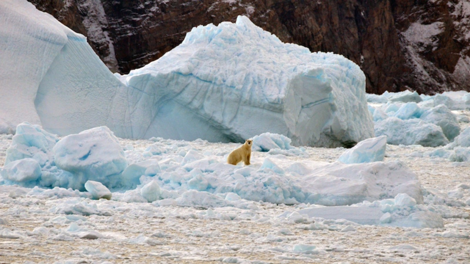 Capsule Pascal Arctique la plus grosse fonte en 1500 ans au moins.jpg (801.66 Ko) 