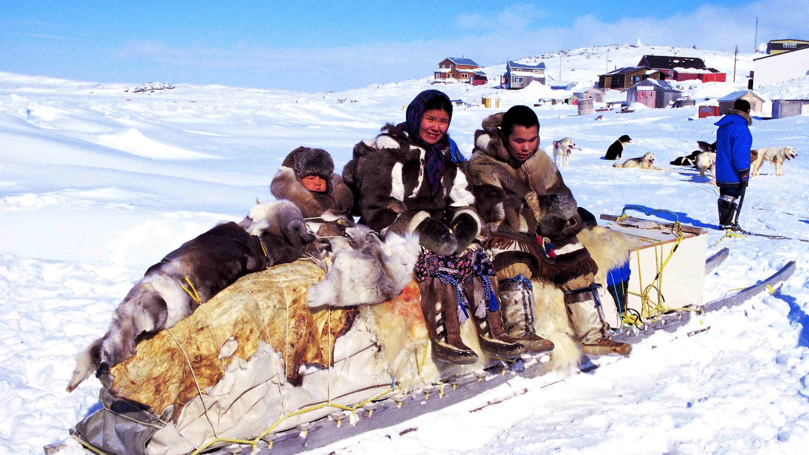 L'invention du traîneau à chiens