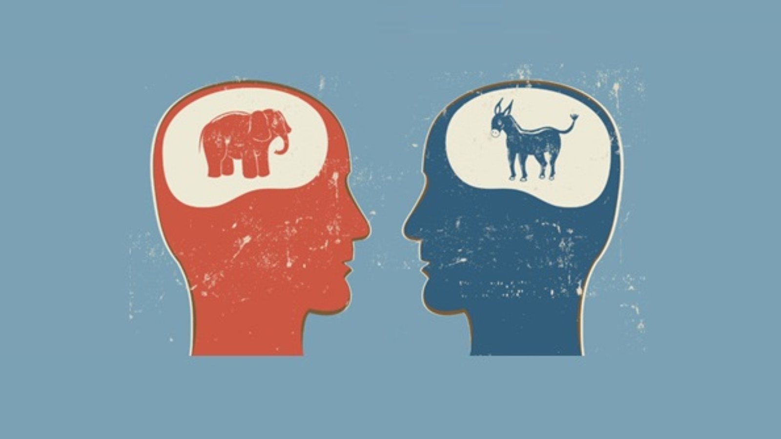 cerveau2.jpg (122.08 Ko) 