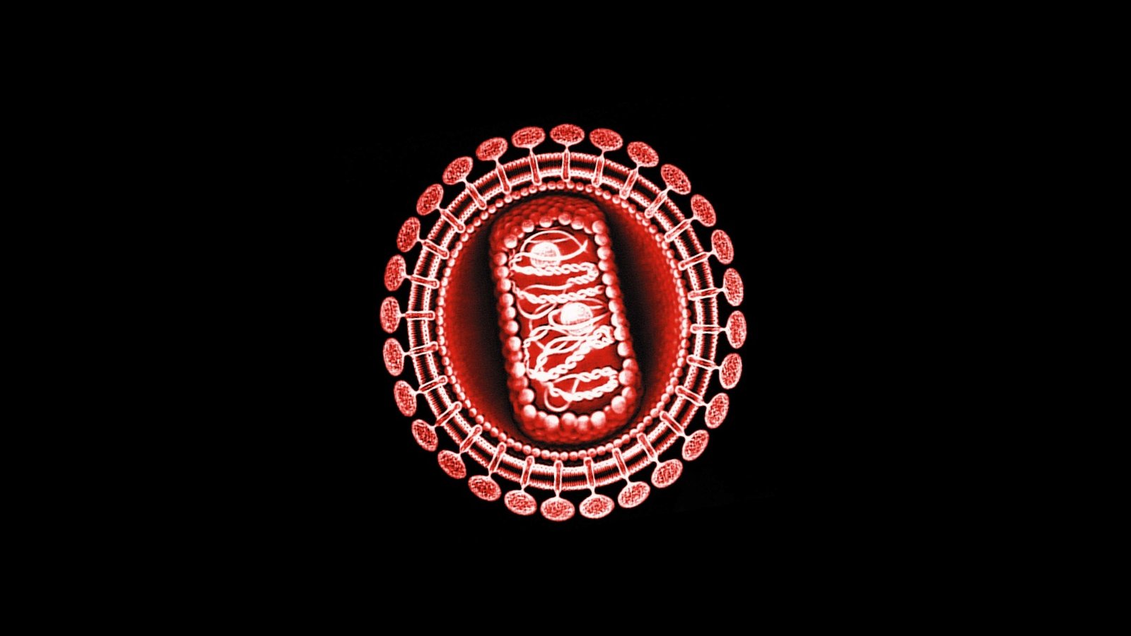 retrovirus 2.jpg (181.72 Ko) 