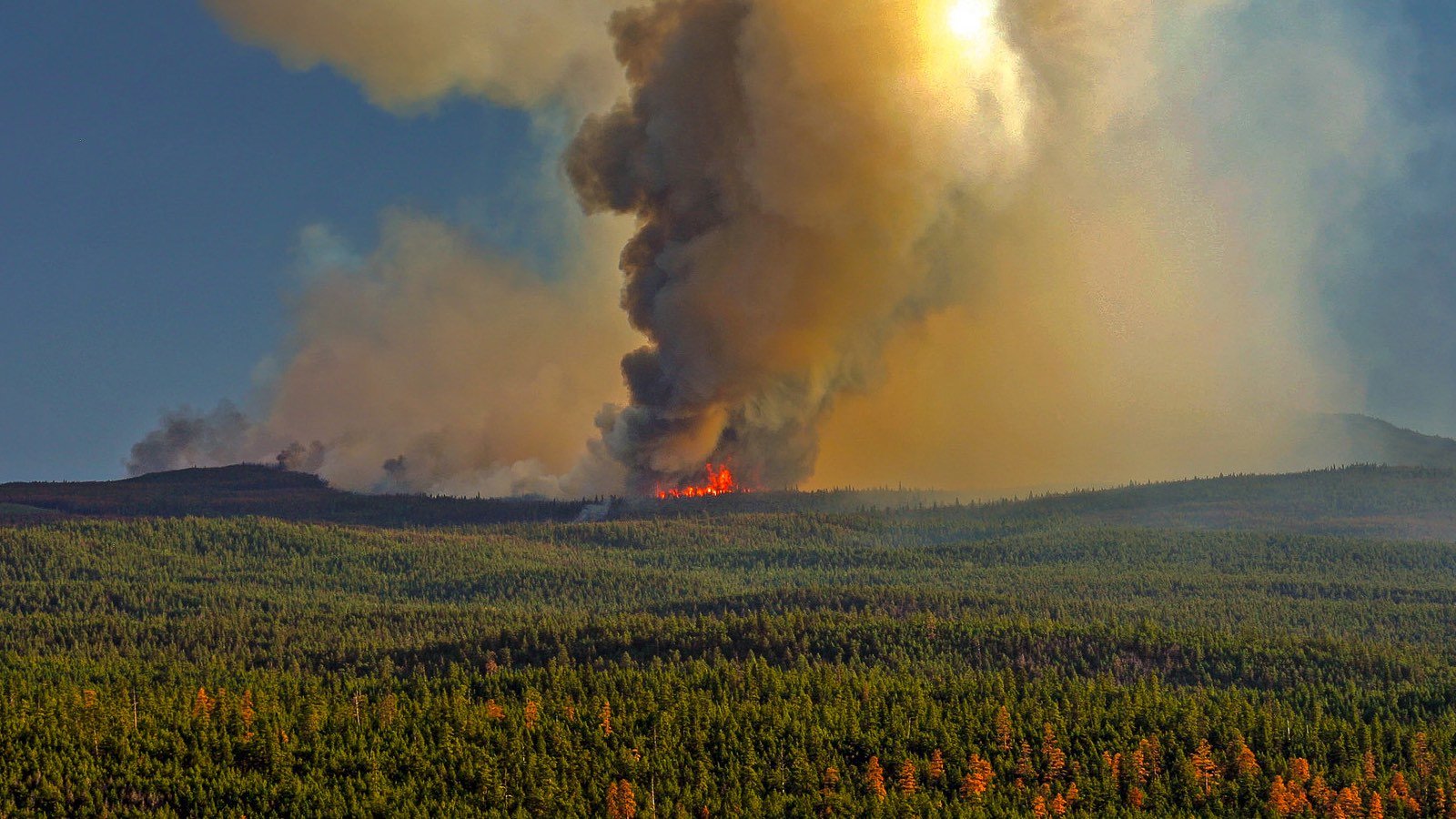 feu-foret