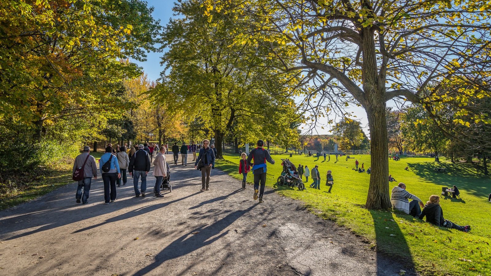 Mont-Royal.jpg (887.34 Ko) 