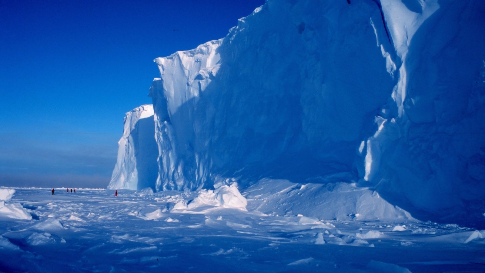 Крупнейшее антарктическое. Шельфовые ледники Антарктиды. Антарктика шельфовый Айсберг. Ледник Росса в Антарктиде. Шельфовый ледник Росса таяние.