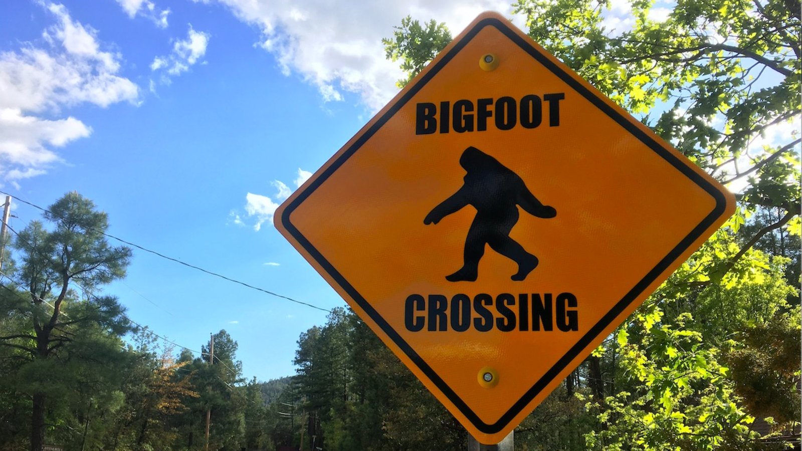 Bigfoot