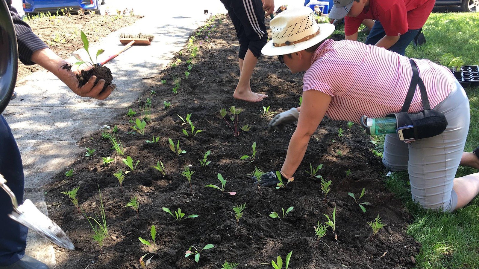 agriculture-urbaine-Hebertville