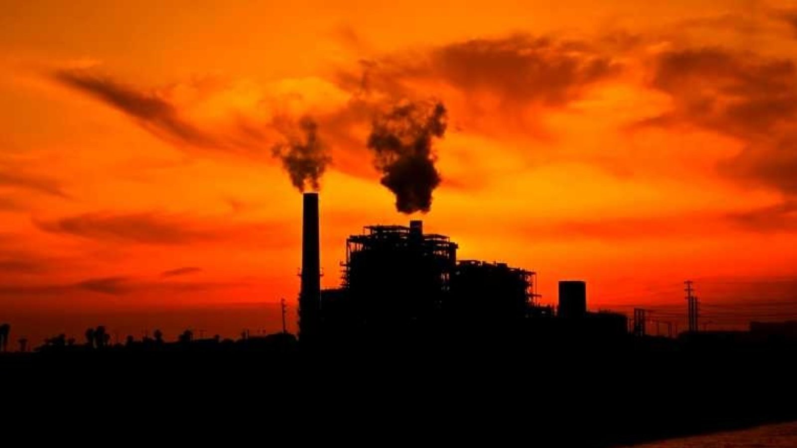 pollution_encyclopaedia_175.jpg (100.06 Ko)