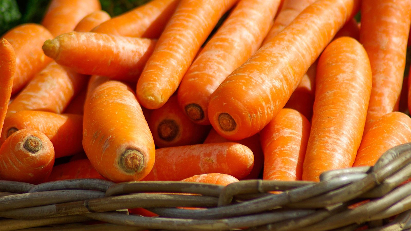 DDR-Carottes-Panier