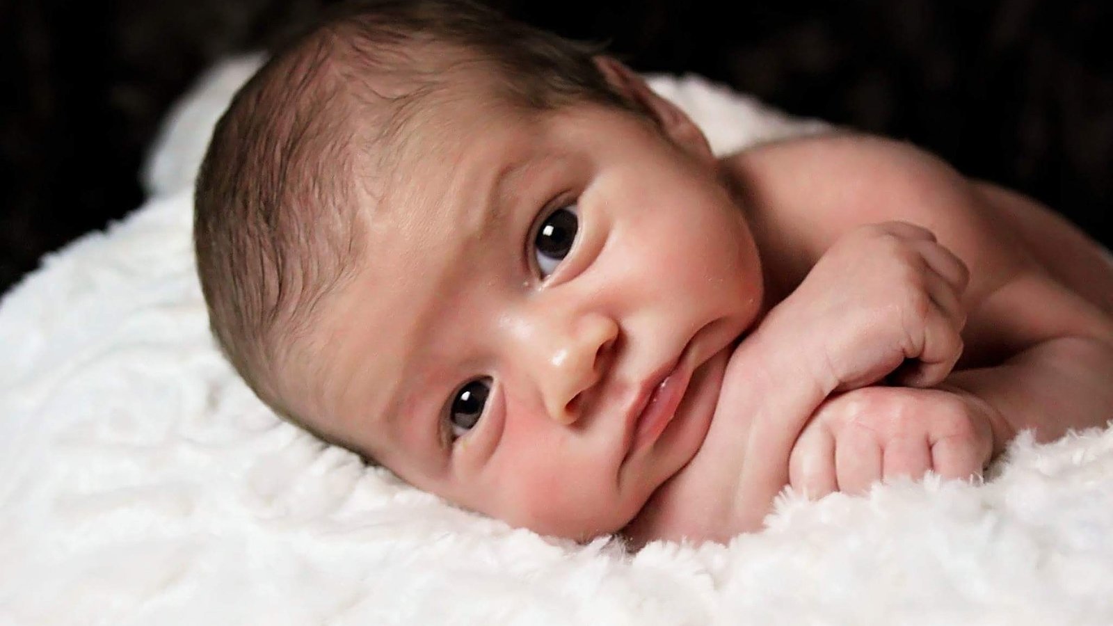 Modifier Les Genes D Un Bebe Au Profit De Qui Agence Science Presse Modifier Les Genes D Un Bebe Au Profit De Qui Agence Science Presse