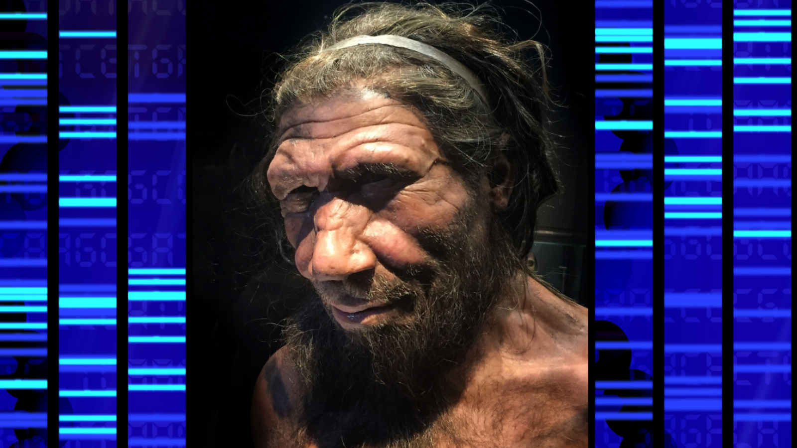 DNA.png (1.48 Mo)