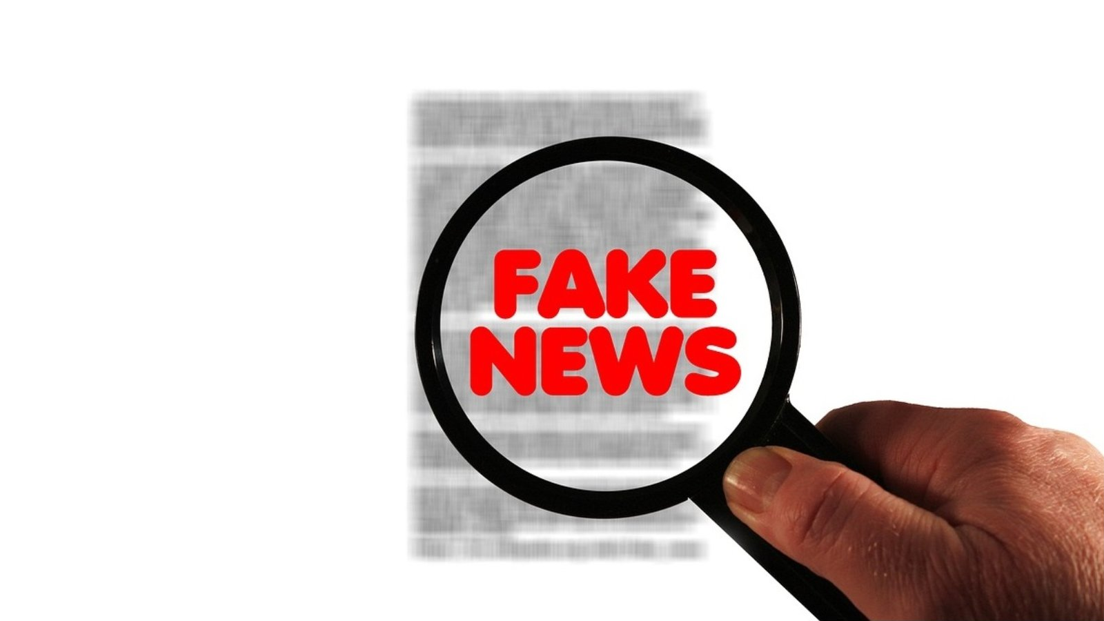 Fake News2.png (550.87 Ko)