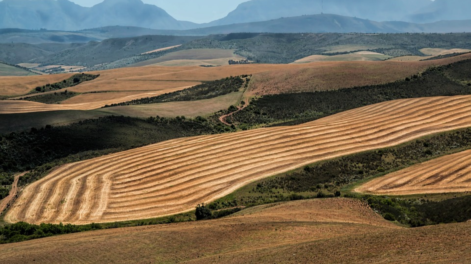 terre agricole 2.png (2.02 Mo) 