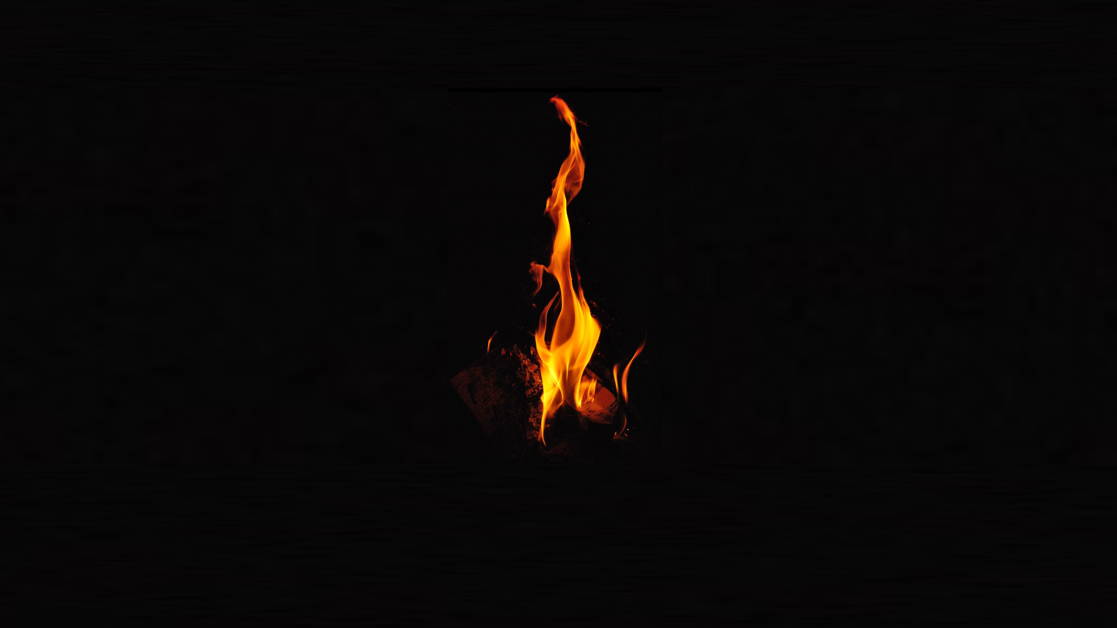 Un premier barbecue il y a 1,5 million d’années_0.png (336.78 Ko)